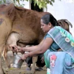 अब नारी शक्ति का नंबर: पीएम मोदी का पत्र, राजनीति में महिलाओं की बढ़ती हिस्सेदारी पर जोर