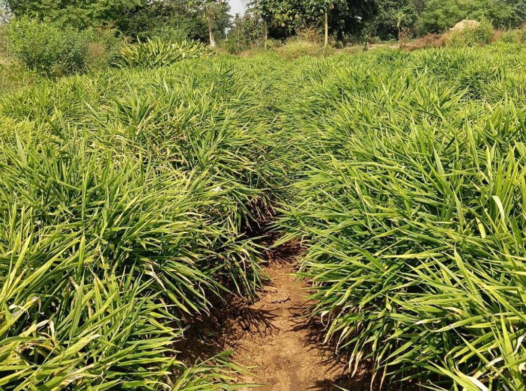 WhatsApp Image 2026 04 07 at 9.46.17 PM