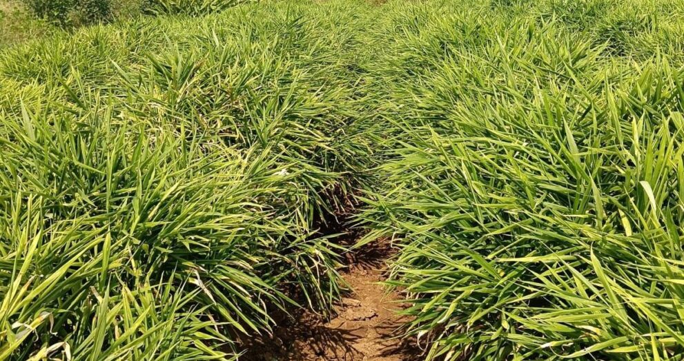 WhatsApp Image 2026 04 07 at 9.46.17 PM