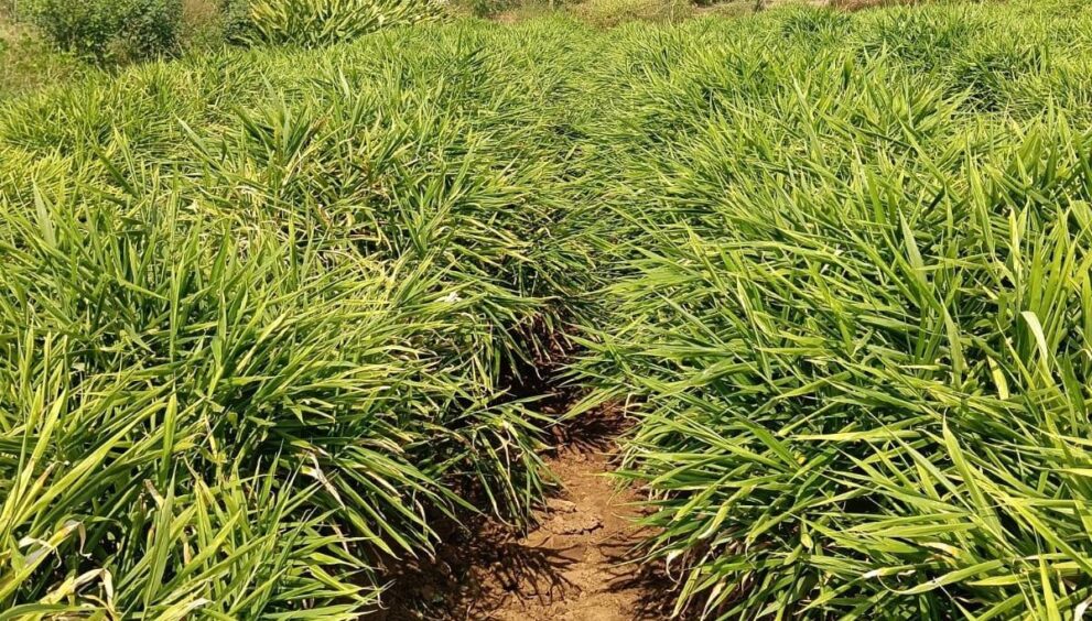 WhatsApp Image 2026 04 07 at 9.46.17 PM