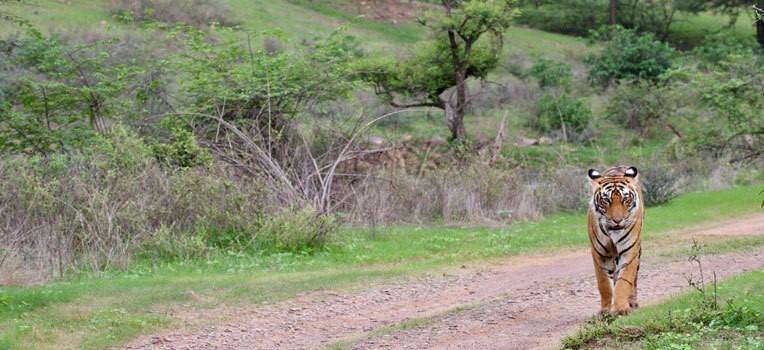 dyMjn7D4b 0XMhq5Bb LQlecIMeqRkieKfpH Lx ozZfV81PKAp7O79dTM0 BSH25OsmQ9a2a9Bv bFPb9xOV4DBIwNBWVHeNATNjAYOu99LshJMxTtVBHPlDE y7 QosLgcTDyyPCxDeZsb0JkQAWF5rD3QauriOofXqknnybQAFw seDMVdYYzPMtJzFq