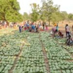 “अब खेला बंद होगा” पश्चिम बंगाल में गरजे CM योगी, TMC सरकार पर साधा निशाना