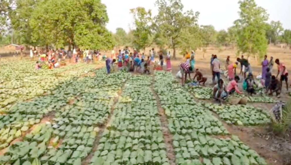 image 2026 04 20T142735.295