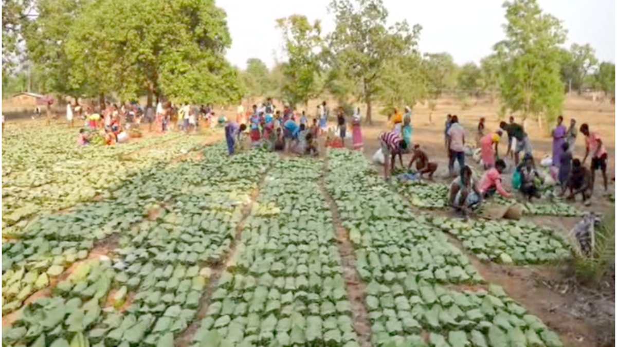 image 2026 04 20T142735.295