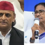 प्रियंका-कैटरीना नहीं, ‘तुम्बाड 2’ में हुई आलिया भट्ट की एंट्री! कैमियो रोल से बढ़ेगा रहस्य और रोमांच