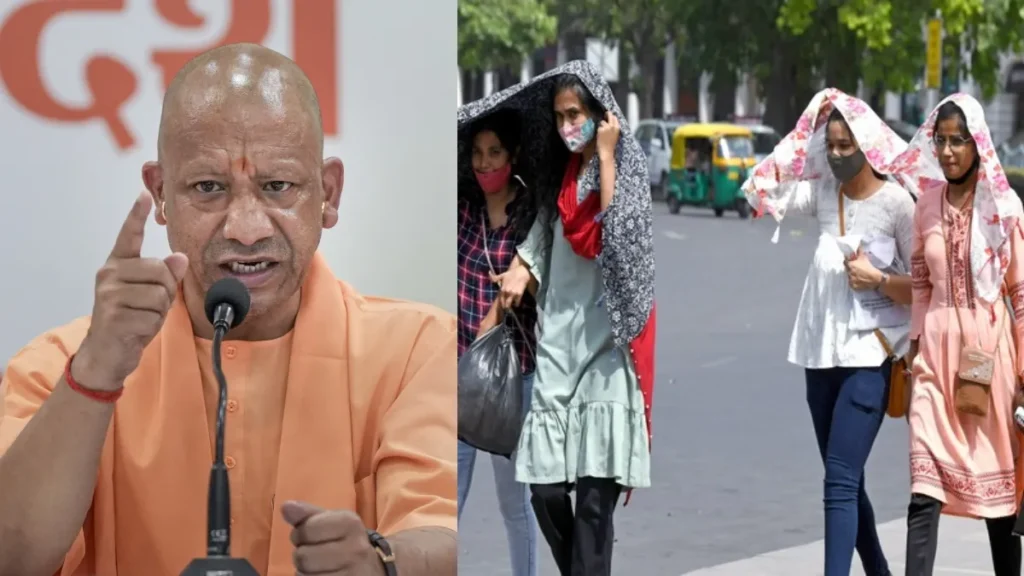 cm yogi up