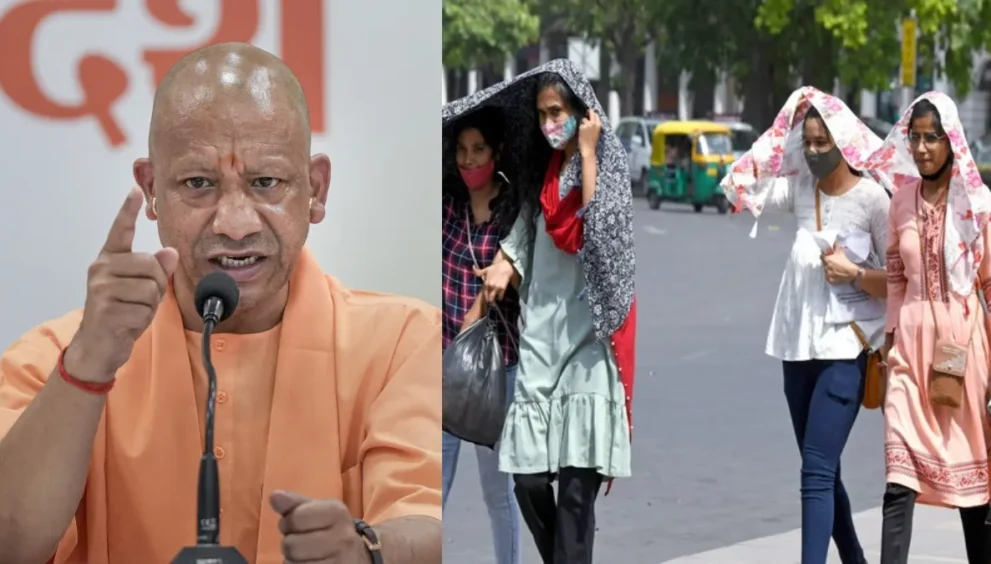 cm yogi up