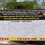 कोरिया में फूड सेफ्टी विभाग का बड़ा एक्शन: सड़े-गले फलों पर छापेमारी, 77 किलो से ज्यादा फल नष्ट