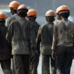भितरकनिका नेशनल पार्क तीन महीने के लिए बंद, 31 जुलाई तक पर्यटकों की एंट्री पर रोक