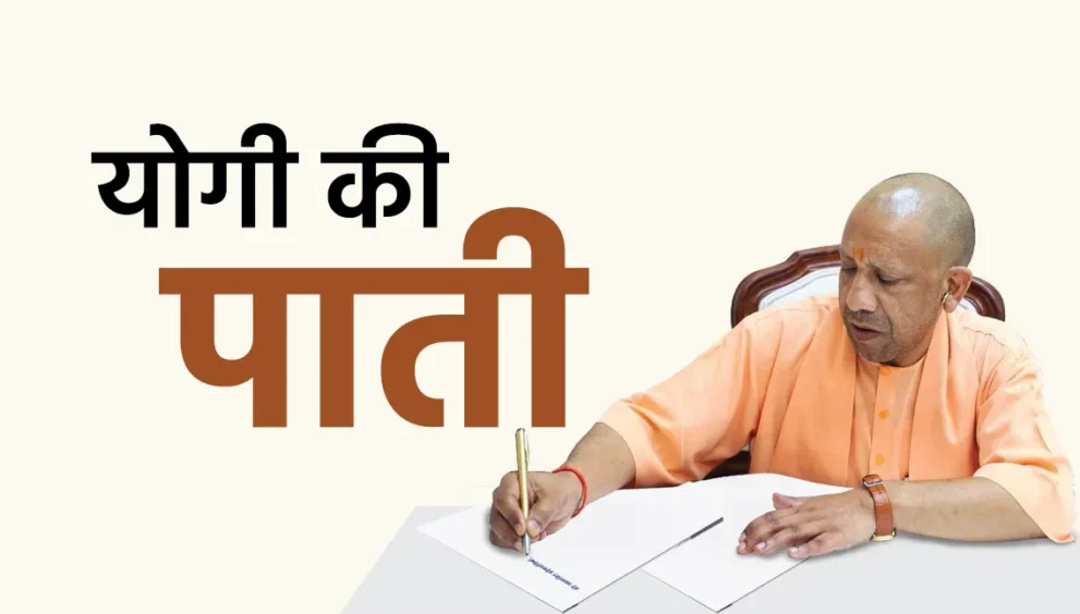 yogi 1779675738