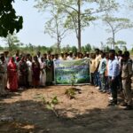 स्पाई थ्रिलर में दम दिखाएंगी आलिया भट्ट, ‘अल्फा’ के टीजर रिलीज को लेकर बड़ा अपडेट