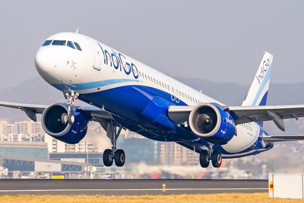 Indigo 16913102613x2 (1)