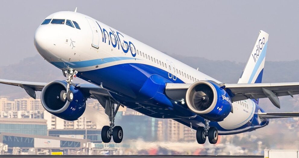 Indigo 16913102613x2 (1)