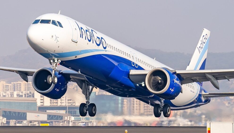 Indigo 16913102613x2 (1)