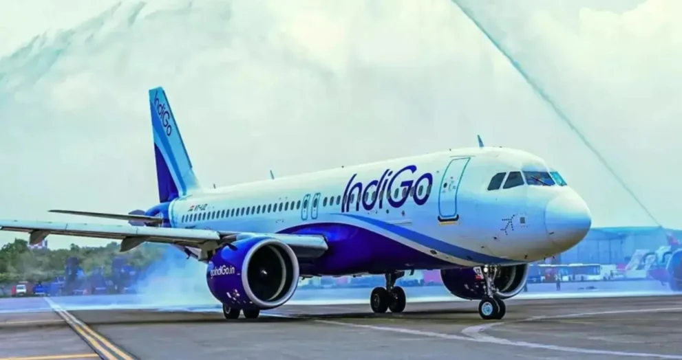 Indigo 1765166652068
