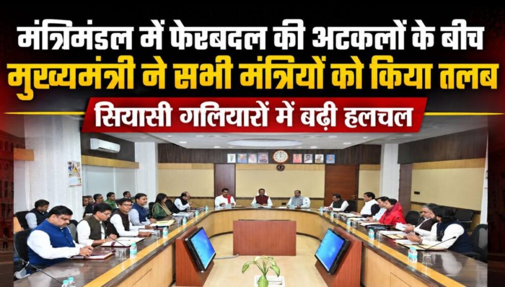 WhatsApp Image 3
