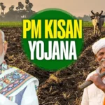 3 Idiots के सीक्वल में नहीं होगी विक्की कौशल की एंट्री, राजकुमार हिरानी ने अफवाहों पर लगाया विराम