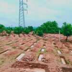 विधानसभा परिसर में ‘एक पेड़ मां के नाम 3.0’ अभियान, CM विष्णुदेव साय और डॉ. रमन सिंह ने लगाया रुद्राक्ष का पौधा