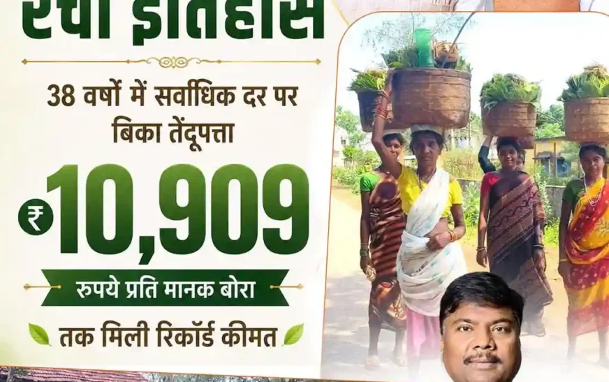 तेंदूपत्ता बना कमाई का रिकॉर्ड: गीदम समिति को मिली ऐतिहासिक कीमत, 4 हजार परिवारों को बोनस का तोहफा