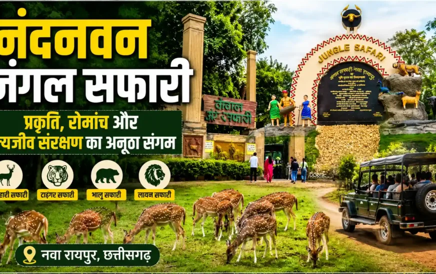 नंदनवन जंगल सफारी: छत्तीसगढ़ में प्रकृति, पर्यटन और वन्यजीव संरक्षण का अनूठा केंद्र