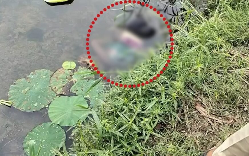 रायपुर के WRS कॉलोनी तालाब में युवती की लाश मिलने से सनसनी, हत्या, हादसा या आत्महत्या? जांच में जुटी पुलिस