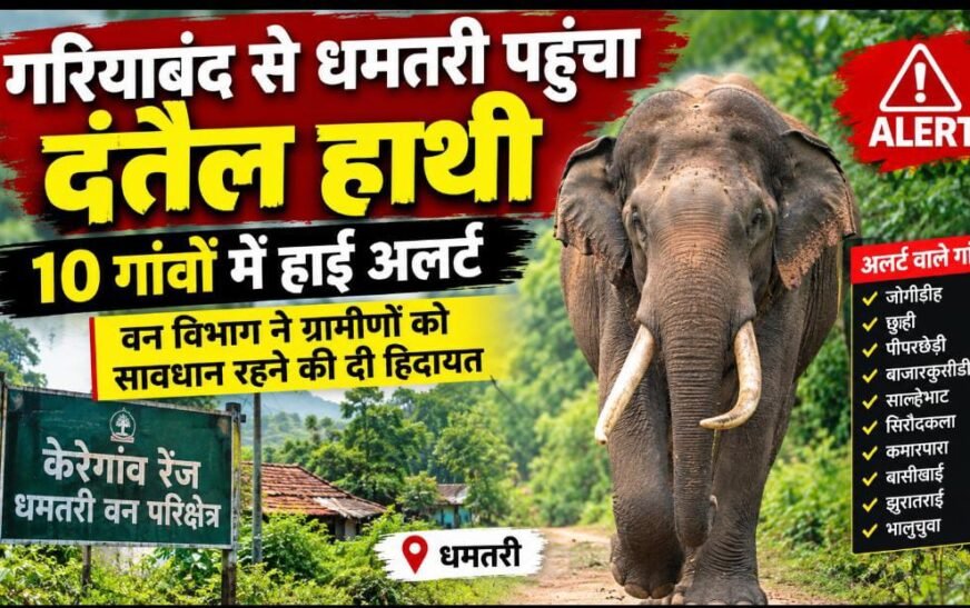 धमतरी में दंतैल हाथी की दस्तक, 10 गांवों में हाई अलर्ट