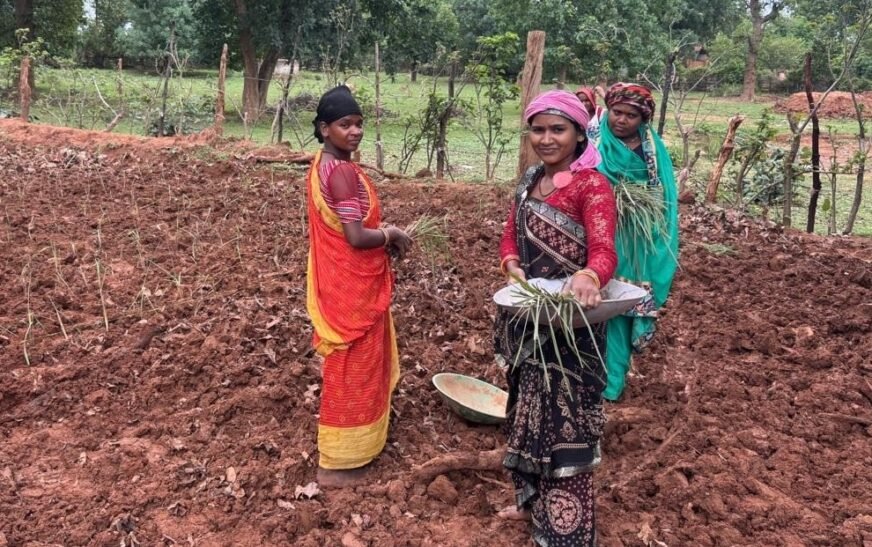 लेमन ग्रास की खेती से महक रही आत्मनिर्भरता, जीपीएम की 10 महिला समूहों ने 20 एकड़ में शुरू किया रोजगार का नया सफर